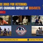 Service Dogs for Veterans: The Life-Changing Impact of DDS4VETS